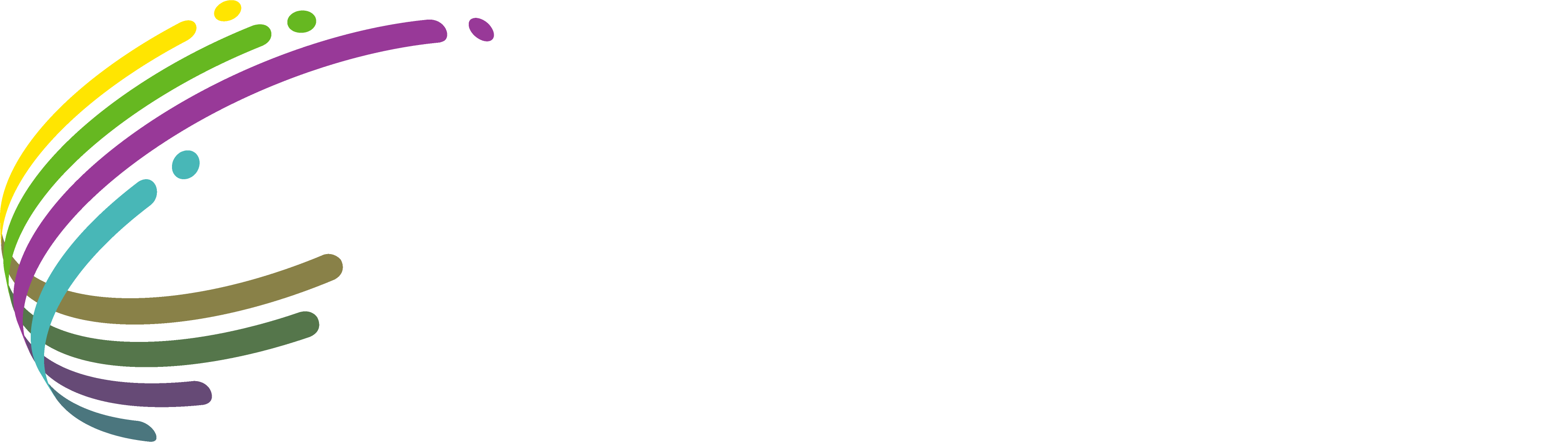 Srvwire Property Protection LTD